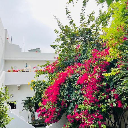 Mosaics Guest House Jaipur Bagian luar foto