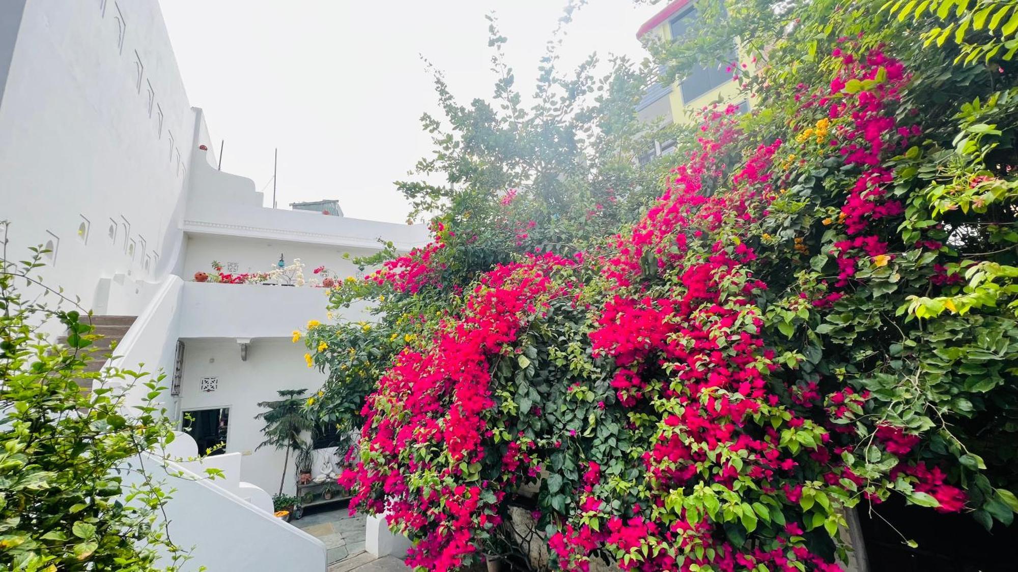 Mosaics Guest House Jaipur Bagian luar foto