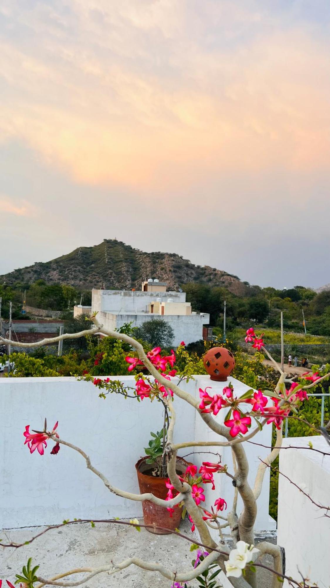 Mosaics Guest House Jaipur Bagian luar foto