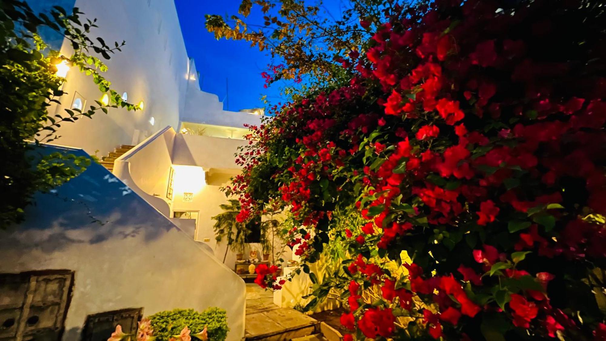 Mosaics Guest House Jaipur Bagian luar foto